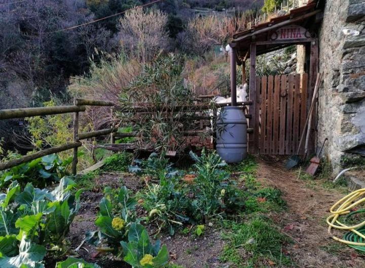 La Casa Di Mo Villa Albisola Superiore Exteriör bild