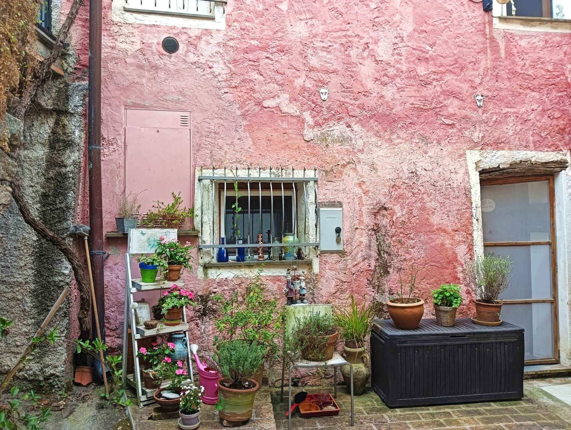 La Casa Di Mo Villa Albisola Superiore Exteriör bild