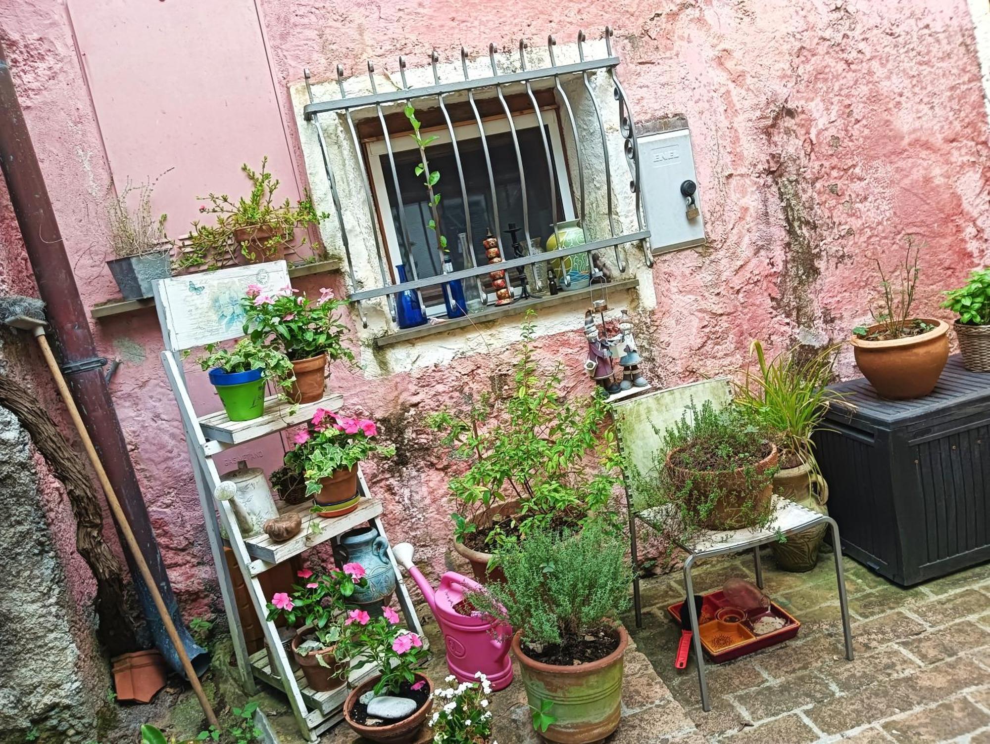 La Casa Di Mo Villa Albisola Superiore Exteriör bild